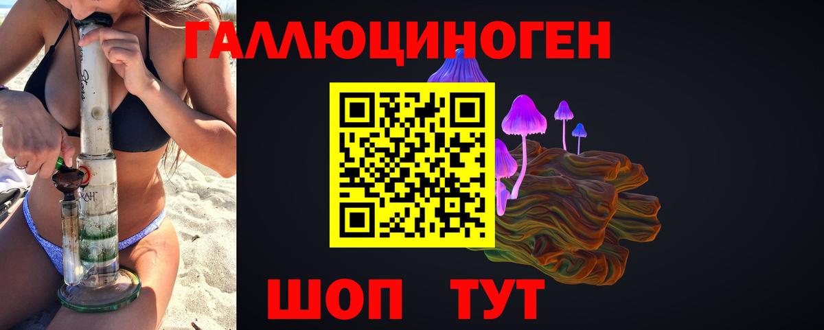 Псилоцибиновые грибы Psilocybine cubensis Сочи